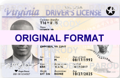 Scannable Virginia Fake ID's