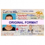 fake real id california fake id drivers license
