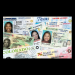 buy real id fake ids