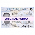New York Fake IDs