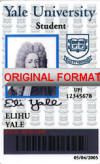 yale identity tudent id card design, novelty id yale student card software identification yale